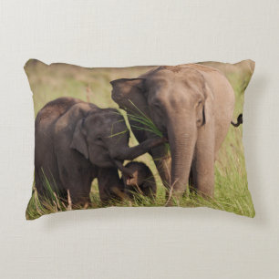 Coussins Décoratifs Famille d'éléphants asiatiques indiens dans la sav
