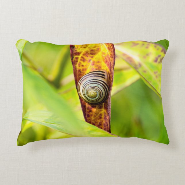 Coussins Décoratifs fixation calme (Devant)