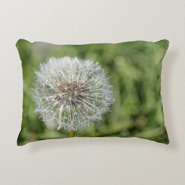 Coussins Décoratifs Fleur de pissenlit blanc sur herbe verte (Devant)