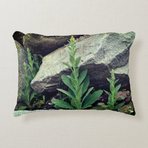 Coussins Décoratifs Fleurs Mulleines Sauvages Entre Rochers