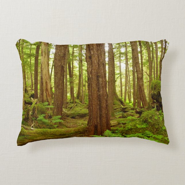 Coussins Décoratifs Forêt pluviale tempérée d'Alaska (Devant)