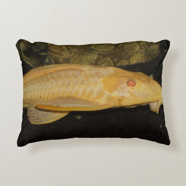Coussins Décoratifs Glyptoperichthys gibbiceps (Devant)