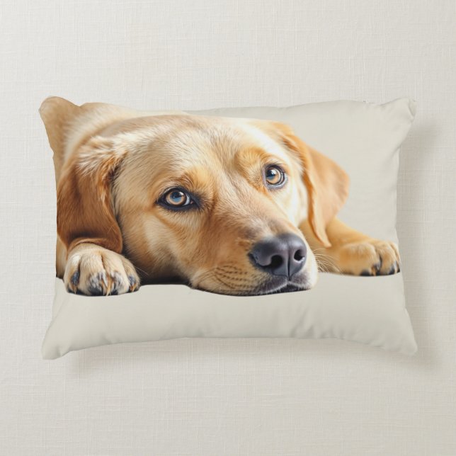 Coussins Décoratifs Golden Lab Pillow  (Devant)