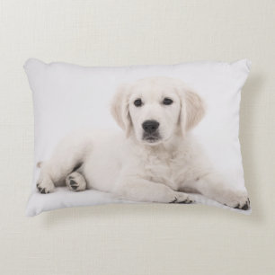 Coussins Décoratifs Golden retriever