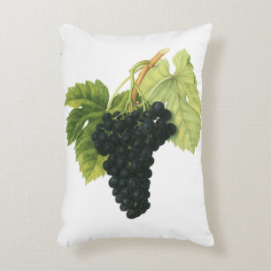 Coussins Décoratifs Grappe de raisin rouge biologique de vin vintage,