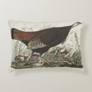 Coussins Décoratifs Gravure vintage d'Audubon représentant une femelle