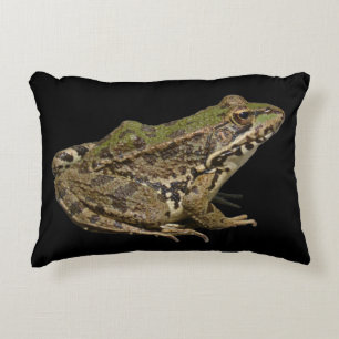 Coussins Décoratifs Grenouille
