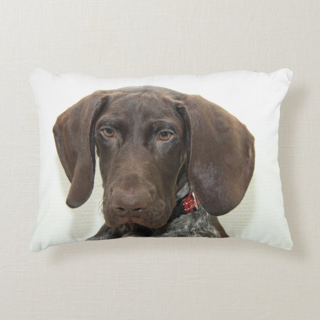 Coussins Décoratifs Grizzly brillant (Devant)