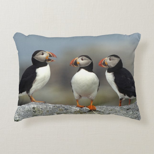 Coussins Décoratifs Groupe de Puffin de l'Atlantique (Devant)