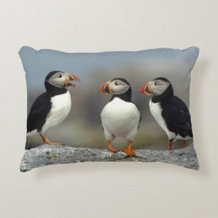 Coussins Décoratifs Groupe Macareux Atlantique
