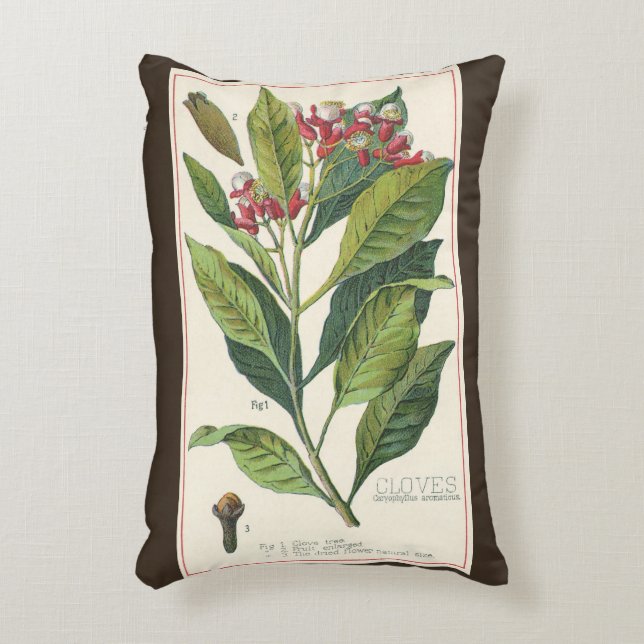 Coussins Décoratifs Herbes Épices Alimentaires Anciens, Clous de Girof (Devant(Vertical))