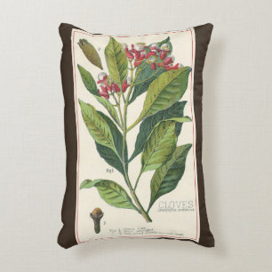 Coussins Décoratifs Herbes et épices alimentaires vintage, plante de c