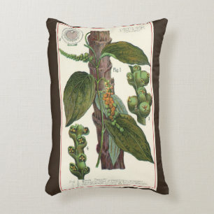 Coussins Décoratifs Herbes et épices alimentaires vintage, plante de p