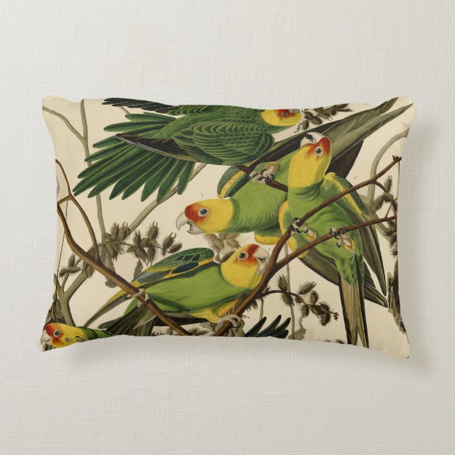 Coussins Décoratifs Illustration Audubon Carolina Parrot Bird (Dos)