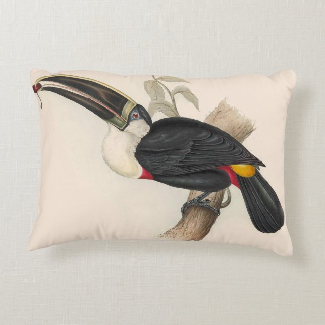 Coussins Décoratifs Impression du Toucan de Cuvier : Oiseau Tropical V (Dos)