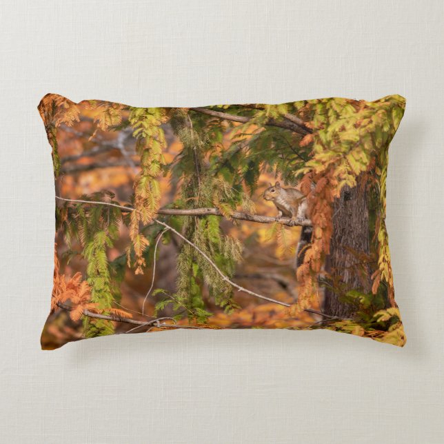 Coussins Décoratifs Juste Un Écureuil Dans Les Bois (Devant)