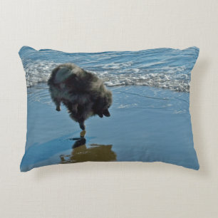 Coussins Décoratifs Keeshond Ballet Photographie - Joli chien d'origin