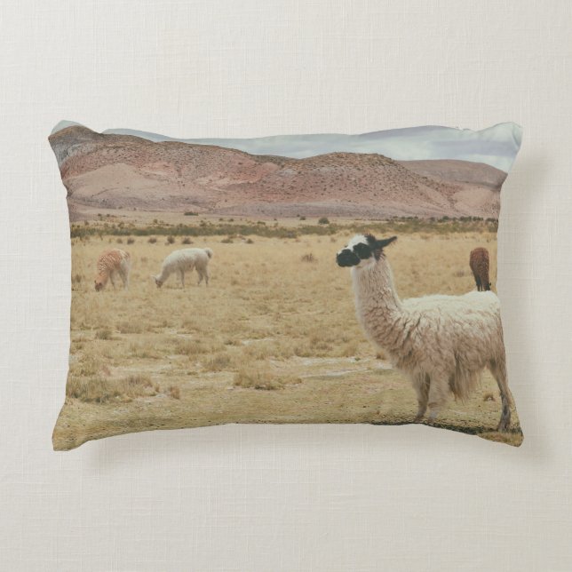 COUSSINS DÉCORATIFS LAMA BLANC EN GRASS BROWN (Devant)