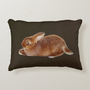 Coussins Décoratifs Lapin Brown