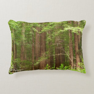 Coussins Décoratifs Les séquoias au monument national de Muir Woods