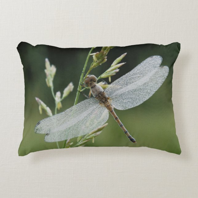 Coussins Décoratifs Libellule Darner couverte de rosée (Devant)