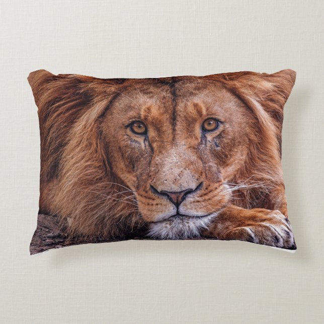 Coussins Décoratifs Lion africain (Devant)