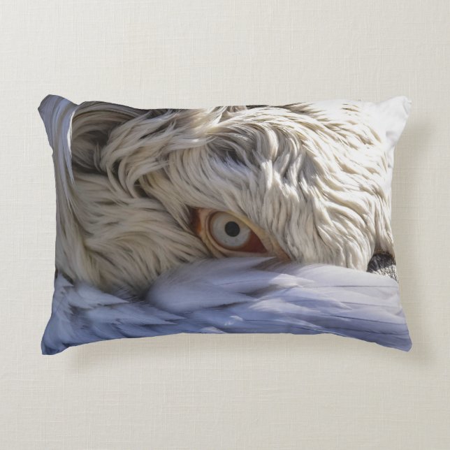 Coussins Décoratifs L'oeil d'un pélican (Devant)