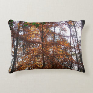 Coussins Décoratifs Lumière du soleil à travers un arbre en automne à