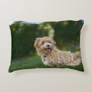 Coussins Décoratifs Maltipoo