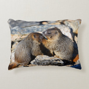 Coussins Décoratifs Marmottes