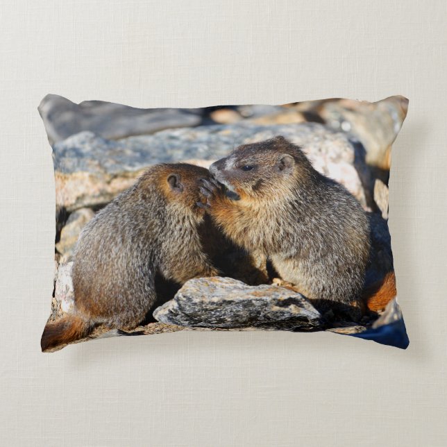 Coussins Décoratifs Marmottes (Devant)