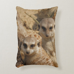 Coussins Décoratifs Meerkat_008