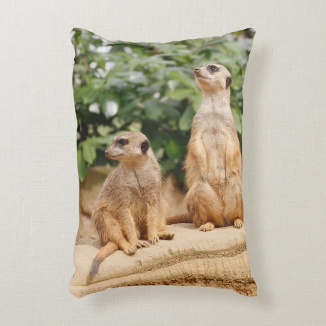 Coussins Décoratifs Meerkat 009 (Devant(Vertical))