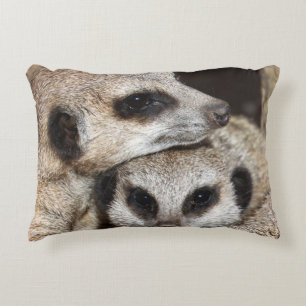 Coussins Décoratifs Meerkat 019