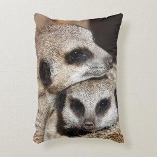 Coussins Décoratifs Meerkat 019