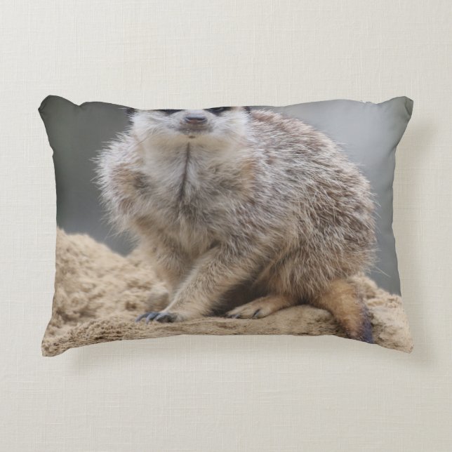 Coussins Décoratifs Meerkat 021 (Devant)