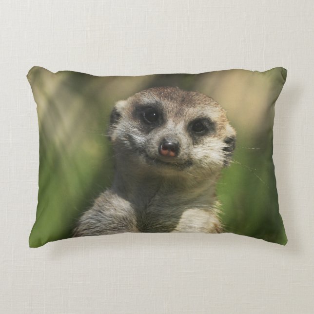 Coussins Décoratifs Meerkat 034 (Devant)