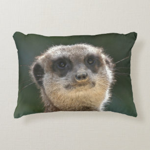 Coussins Décoratifs Meerkat 068