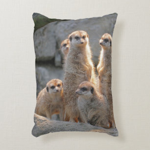 Coussins Décoratifs Meerkat 110
