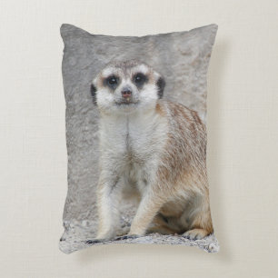 Coussins Décoratifs Meerkat 134