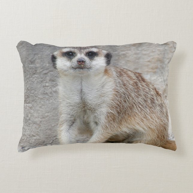 Coussins Décoratifs Meerkat 134 (Devant)