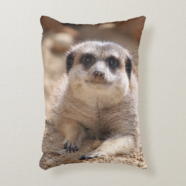 Coussins Décoratifs Meerkat 174 (Devant(Vertical))