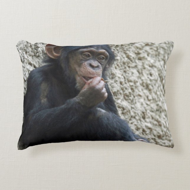 Coussins Décoratifs Mer de Chimpané 013 (Devant)
