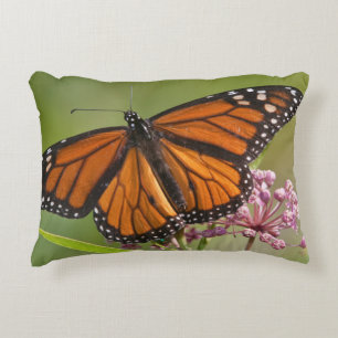Coussins Décoratifs Monarque papillon mâle sur le marécage Milkweed