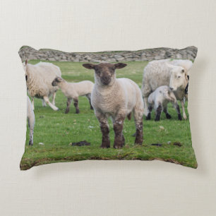 Coussins Décoratifs Mouton des Shetland