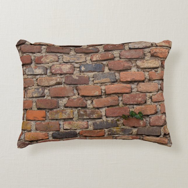 Coussins Décoratifs Mur Brown en brique (Devant)