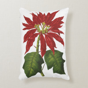 Coussins Décoratifs Noël vintage, poinsettia rouge plante d'hiver