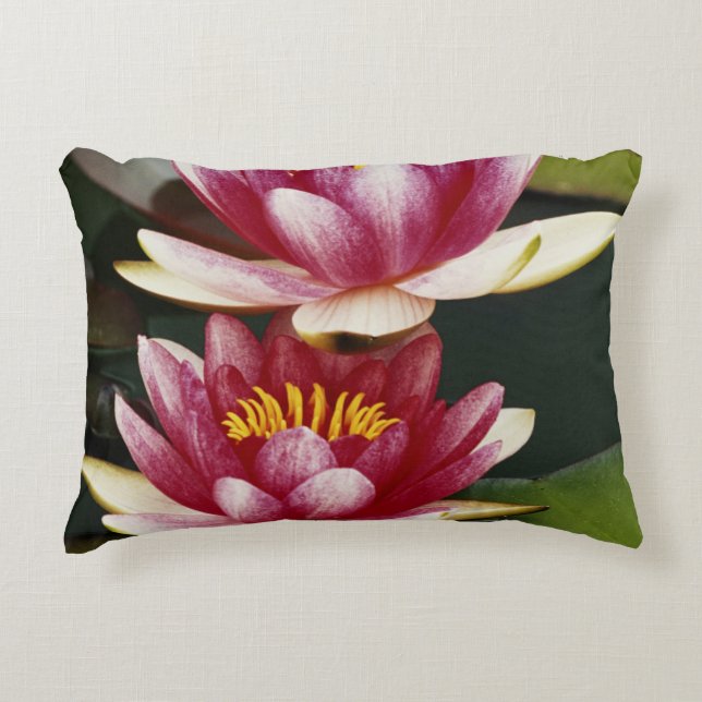 Coussins Décoratifs Nymphéas hybrides (Devant)