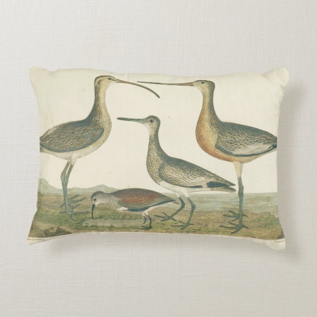 Coussins Décoratifs Oiseaux de marais Courlis Oiseaux (Dos)