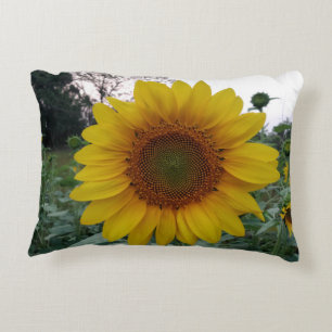 Coussins Décoratifs Oreiller accentuel tournesol lumineux pour décorat